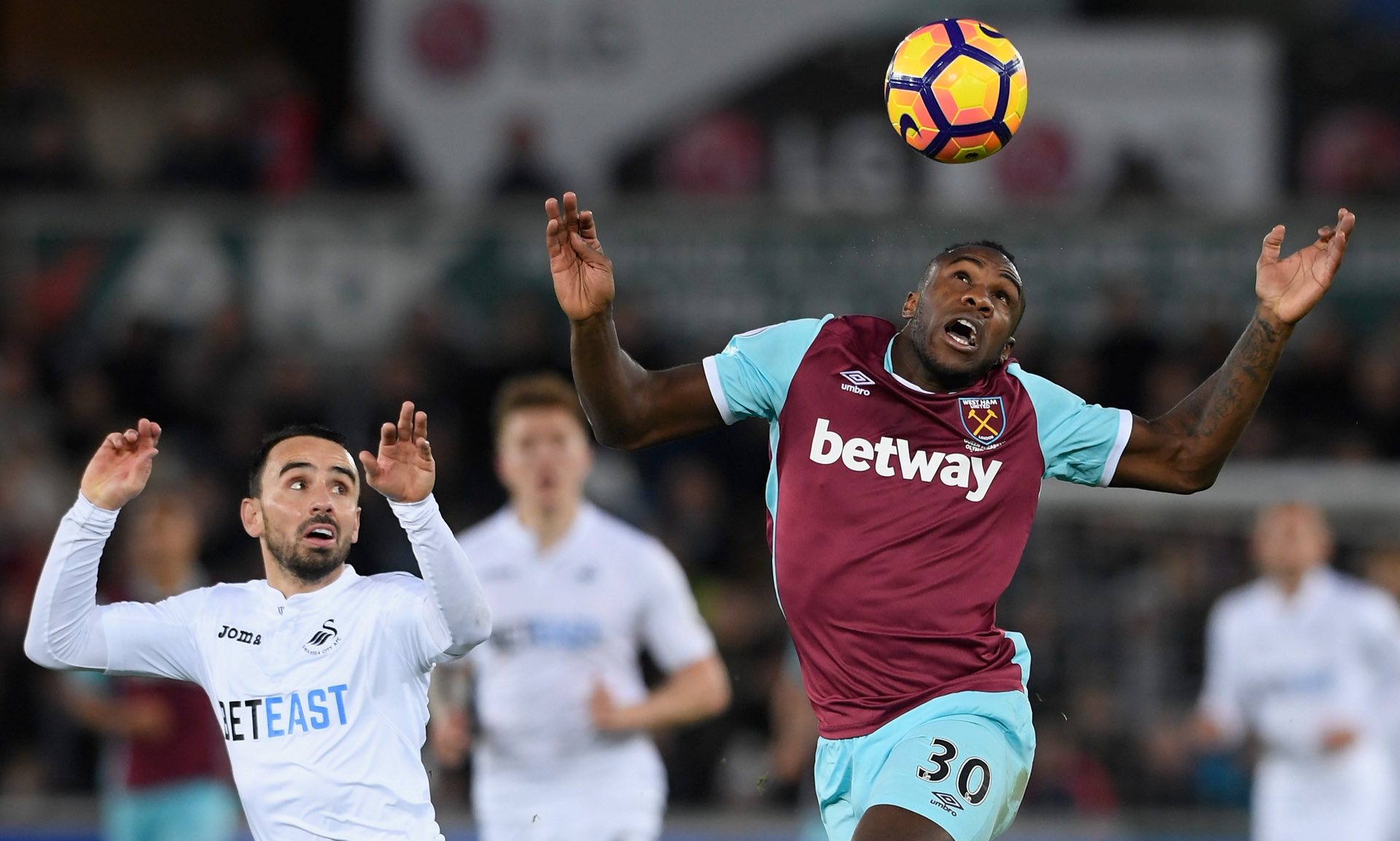 环境中延续 环境中延续